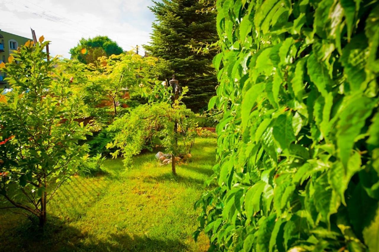 Villa Akacja Łeba Dış mekan fotoğraf