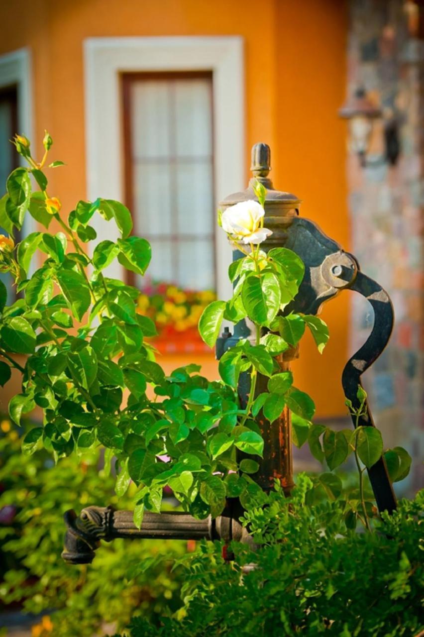 Villa Akacja Łeba Dış mekan fotoğraf